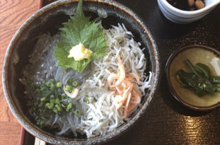 しらす丼